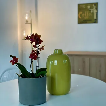 Elisa A - In Front Of The Walls Of *